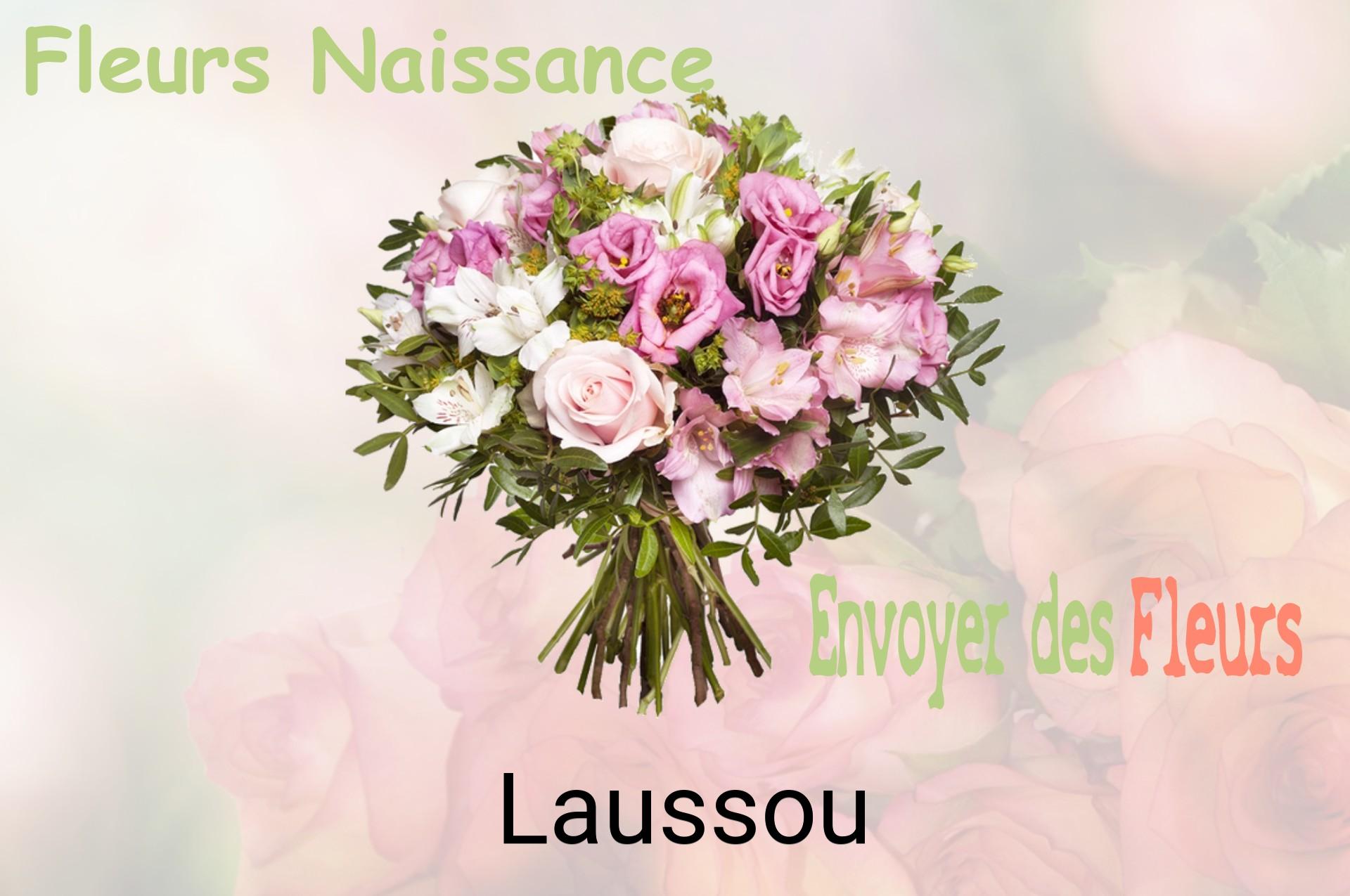 Bouquet de fleurs de naissance livré à Laussou