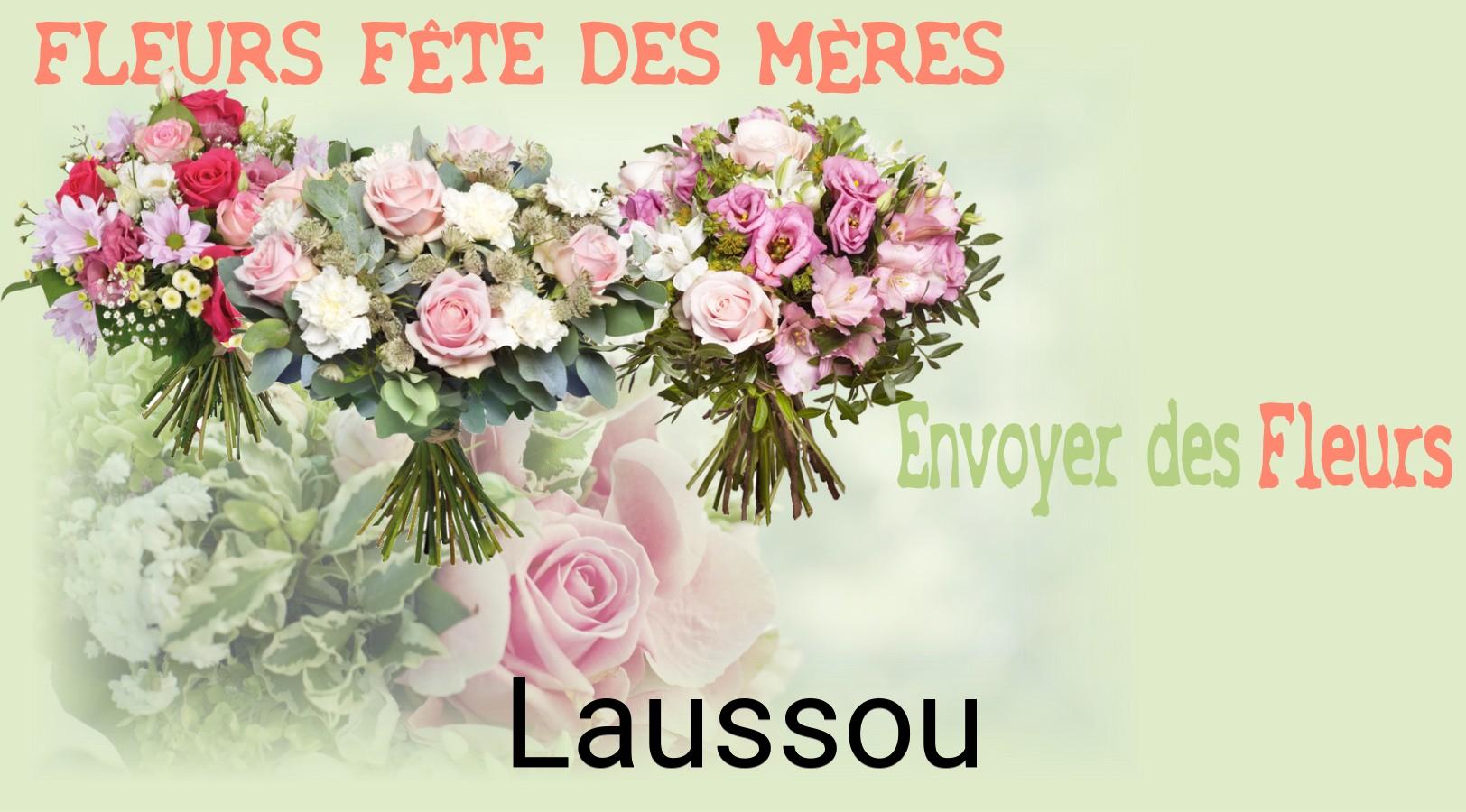 Bouquet de Fête des Mères livré à Laussou